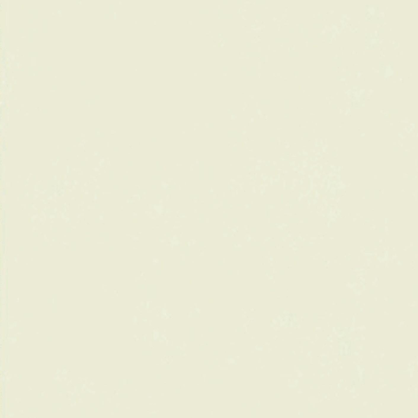 1754552934897357.jpg 8FMB108377M.jpg