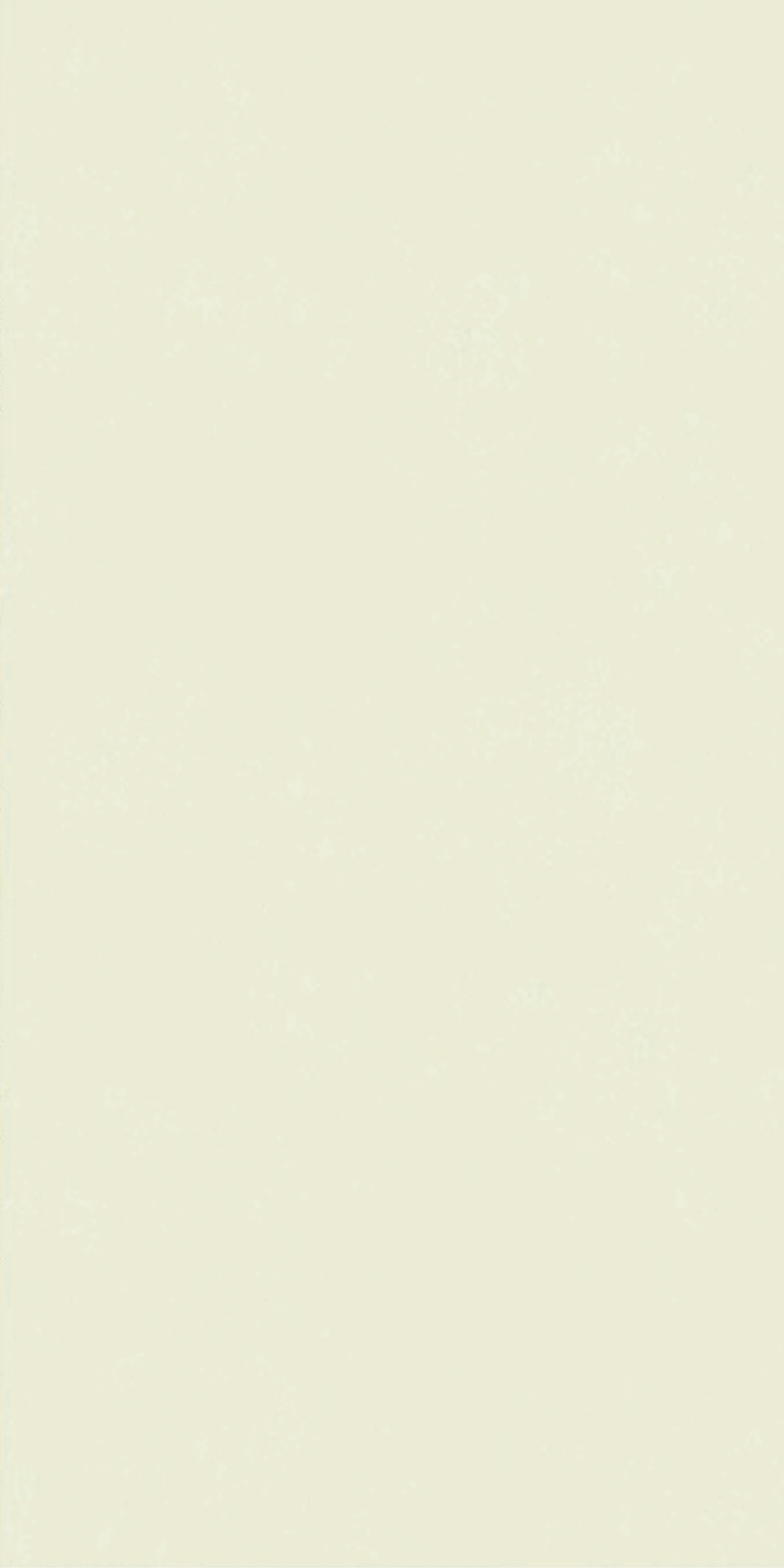 1754553622361149.jpg 40-80FKB078377M.jpg